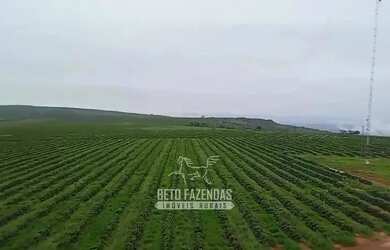 Imagem: A fazenda possui 29290000m² de Área e está localizado em