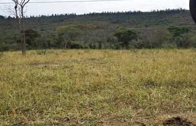 Imagem 15: Fazenda 404 hectares Próximo a Salinas/MG