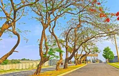 Imagem 7: Terreno à venda em Indaiatuba, Jardim Piemonte, com 359 m²