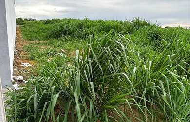Imagem 2: ÁGIO LOTE PALMEIRAS 3. 360m² de Área