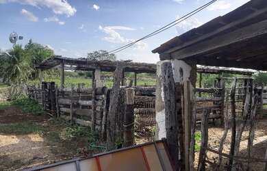 Imagem 13: Vendo fazenda. 135.000m² de Área Privada