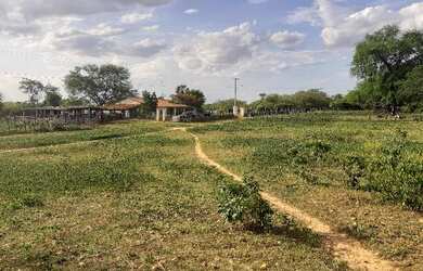 Imagem 5: Vendo fazenda. 135.000m² de Área Privada