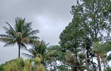 Imagem 10: Loco casa por temporada. 1 Vaga na garageme3 Dormitórios