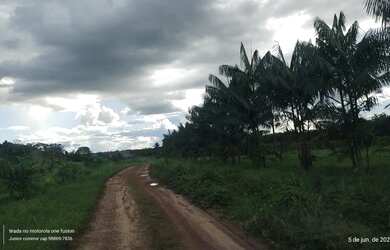 Imagem: A fazenda possui 190000m² de Área e está localizado em Cristo