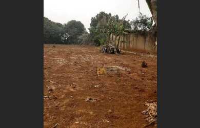 Imagem 9: Terreno à venda, 4146 m² por R$ 954.000,00 - Jardim das Flores - Foz do Iguaçu/PR