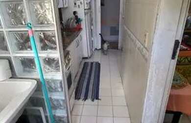 Imagem 16: Apartamento 3 quartos com 3 banheiros e vaga Localização Privilegiada...