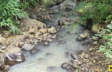 Imagem 12: Sítio / Chácara para Venda em Nova Petrópolis, Stille Eck