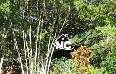 Imagem 8: Sítio com 136.000m2 e 2 casas à venda, por R$ 600.000 - Duas Barras/RJ