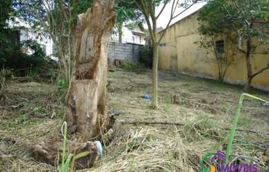 Imagem 11: TERRENO - JARDIM RINCÃO - SP