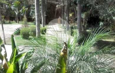 Imagem 8: Fazenda espetacular - Paraíba do Sul-RJ