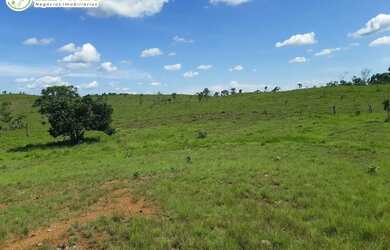 Imagem 3: FAZENDA À VENDA EM CARNEIRINHO MG 774,4 HECTARES PECUÁRIA