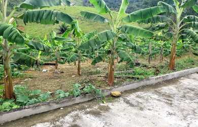 Imagem 2: Vendo maravilhosa fazenda no município de itiuba