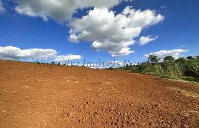 Imagem 8: Fazenda com 40 alqueires, região de Avaré - SP (Nogueira Imóveis Rurais
