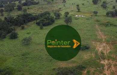 Imagem 4: Fazenda à venda, 1419088 m² por R$ 7.330.000,00 - Zona Rural - Fazenda...