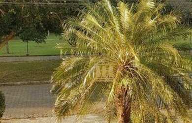 Imagem 10: Casa com 5 dormitórios, 340 m² - venda por R$ 2.295.000,00 ou aluguel...