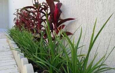 Imagem 9: SOBRADO GEMINADO NO PEREQUE