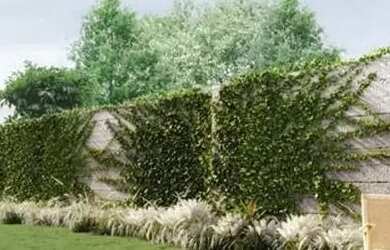 Imagem 4: Apartamento em Rua Marquês do Herval - Moinhos de Vento - Porto Alegre/RS