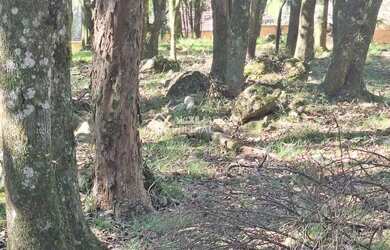 Imagem 3: Terreno em Caxias do Sul - São Virgílio