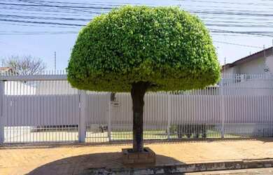 Imagem: A casa possui 3 Dormitórios, 5 Banheiros, 2 Vagas na garagem