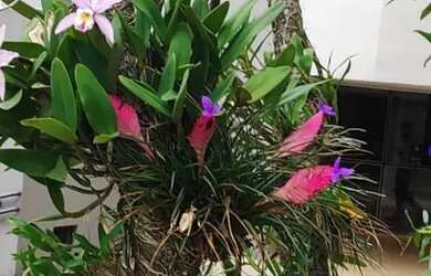 Imagem 12: Apartamento para Venda em Londrina, Parque Residencial Alcântara, 2 dormitórios,...