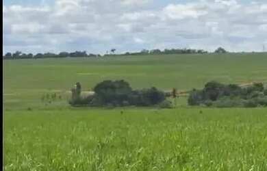 Imagem 4: FAZENDA À VENDA EM CARNEIRINHO MG 774,4 HECTARES PECUÁRIA