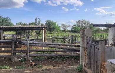 Imagem 6: Vendo fazenda. 135.000m² de Área Privada