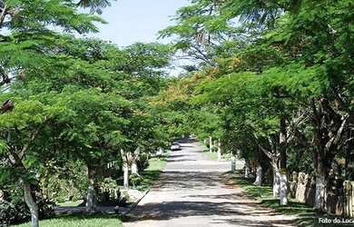 Imagem 9: Lote/Terreno para venda com 1798 metros quadrados no bairro Capital Ville...