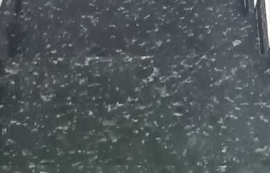 Imagem 9: Casa de condomínio sobrado para venda com 88 metros quadrados com 3 quartos