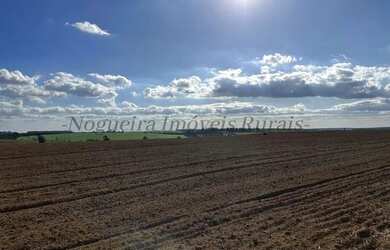 Imagem 15: Fazenda com 40 alqueires, região de Avaré - SP (Nogueira Imóveis Rurais