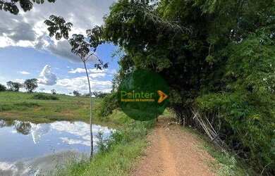 Imagem 15: Fazenda à venda, 1419088 m² por R$ 7.330.000,00 - Zona Rural - Fazenda...
