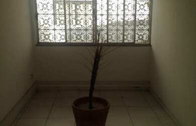 Imagem 5: CASA ASSOBRADADA - LAPA - SP