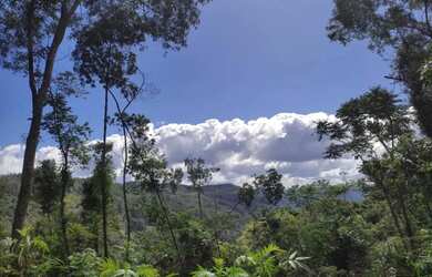 Imagem 8: Sítio / Chácara para Venda em Nova Petrópolis, Stille Eck