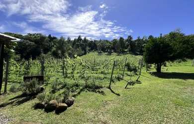 Imagem 6: Sítio - Bairro Linha Nova