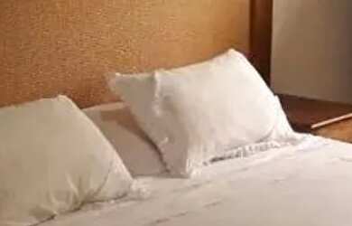 Imagem 13: COMERCIAL - CENTRO CANGUERA - SP