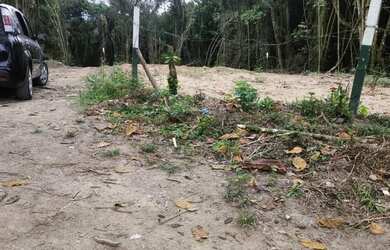 Imagem 4: Excelente imóvel de 500 m2