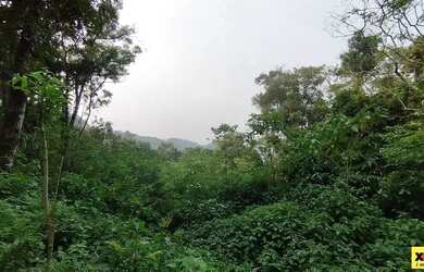 Imagem 3: Sítio / Chácara para Venda em Nova Petrópolis, Linha Olinda