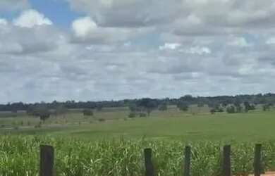 Imagem 5: FAZENDA À VENDA EM CARNEIRINHO MG 774,4 HECTARES PECUÁRIA