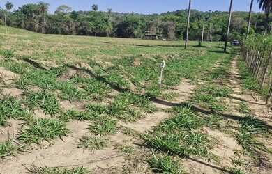 Imagem: O terreno possui 2.000m² de Área e está localizado em Jaboticatubas