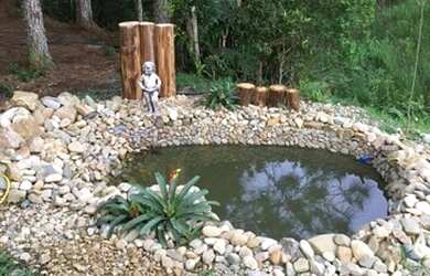 Imagem 3: Sítio em Angelina. 4.200m² de Área