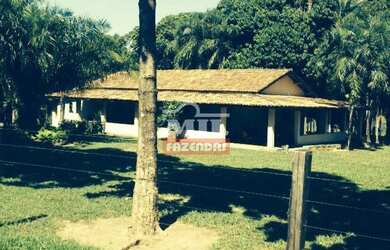 Imagem: A fazenda está localizado em Peixe, TO à venda por R$100.000.000