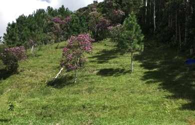 Imagem 13: Sítio em Angelina. 4.200m² de Área