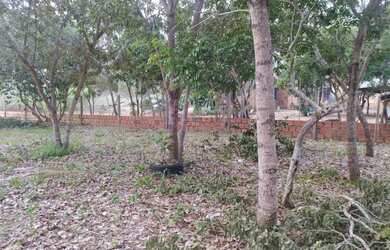 Imagem: O terreno está localizado em Plano Diretor Norte, Palmas à