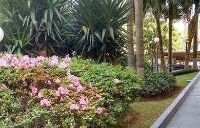 Imagem 6: Apartamento residencial à venda, Vila Mariana, São Paulo - AP0892