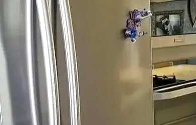 Imagem 4: Apartamento para locação no ATMOS GREENVILLE , PATAMARES , Salvador,...