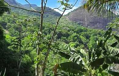Imagem: O terreno possui 2000m² de Área e está localizado em Jacarepaguá
