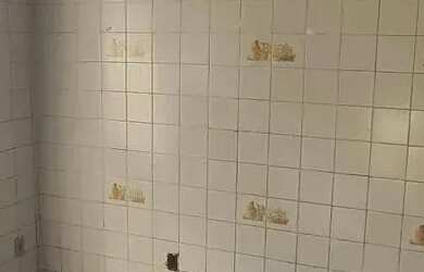 Imagem 7: Imóvel para aluguel possui 65 metros quadrados com 2 quartos em Rubem...