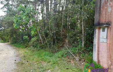 Imagem 14: AREA - INVERNADA - SP. 1.551m² de Área