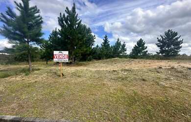 Imagem: O terreno possui 3.600m² de Área e está localizado em Quatro