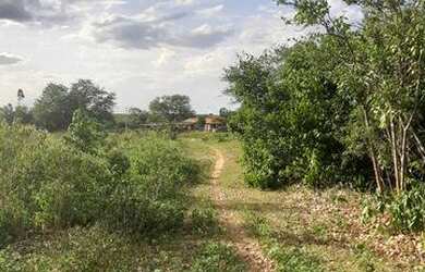 Imagem 15: Vendo fazenda. 135.000m² de Área Privada