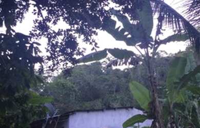 Imagem: Alugo casa 3/4 em Serra Grande- prox. Itacaré